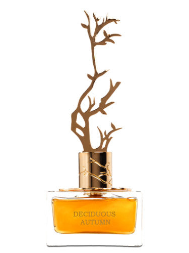Aurora Scents Deciduous Autumn - EDP 100 ml + EDP 8 ml