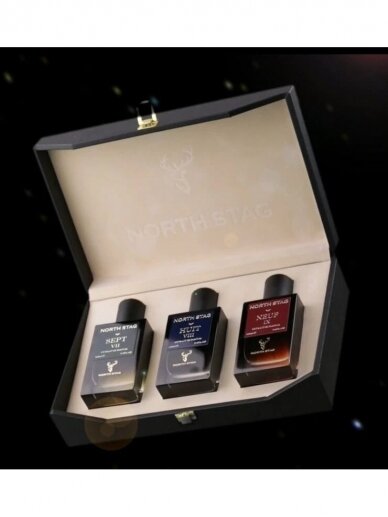 Paris Corner North Stag kvepalų rinkinys vyrams 3x100ml
