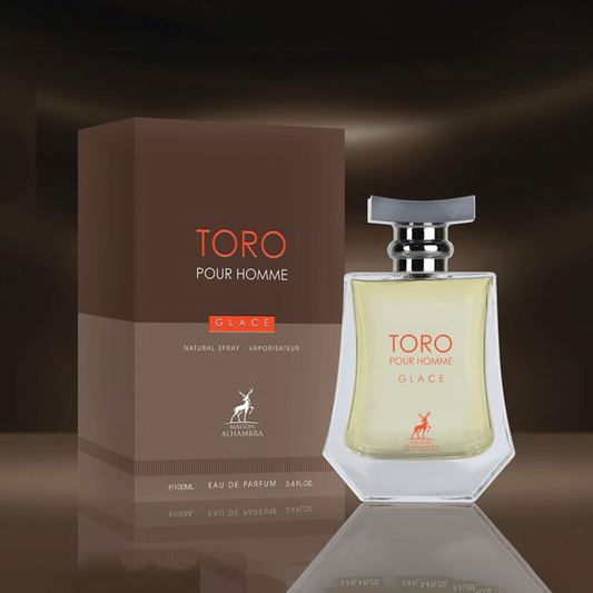 Maison Alhambra Toro Pour Homme Glacee (Įkvėptas  Terre d’Hermès Givree)