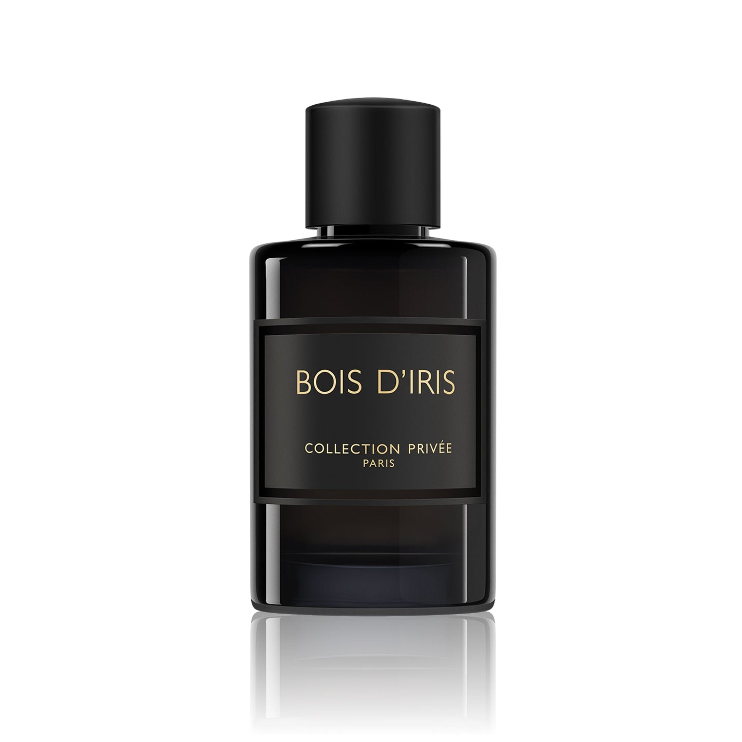 Parfumuotas vanduo Geparlys Bois D'Iris EDP vyrams, 100 ml